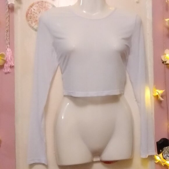 Adome (M) Sheer Long Sleeve Crop - Picture 1 of 4